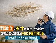 雨漏りが天井に発生した場合の張替え症状診断と原因別費用相場｜修理方法と工事工程を徹底解説のイメージ